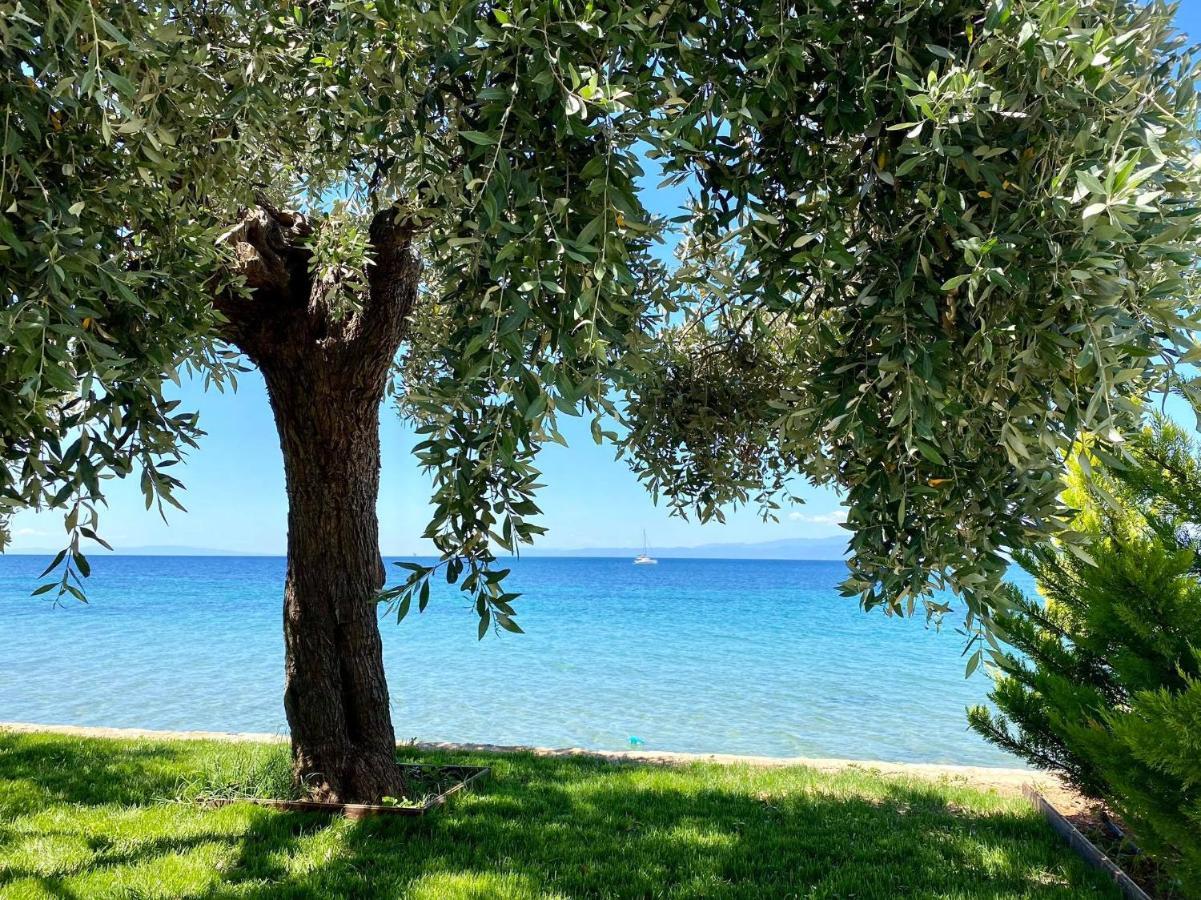 Manolis Studios Thassos Skála Kallirákhis Buitenkant foto