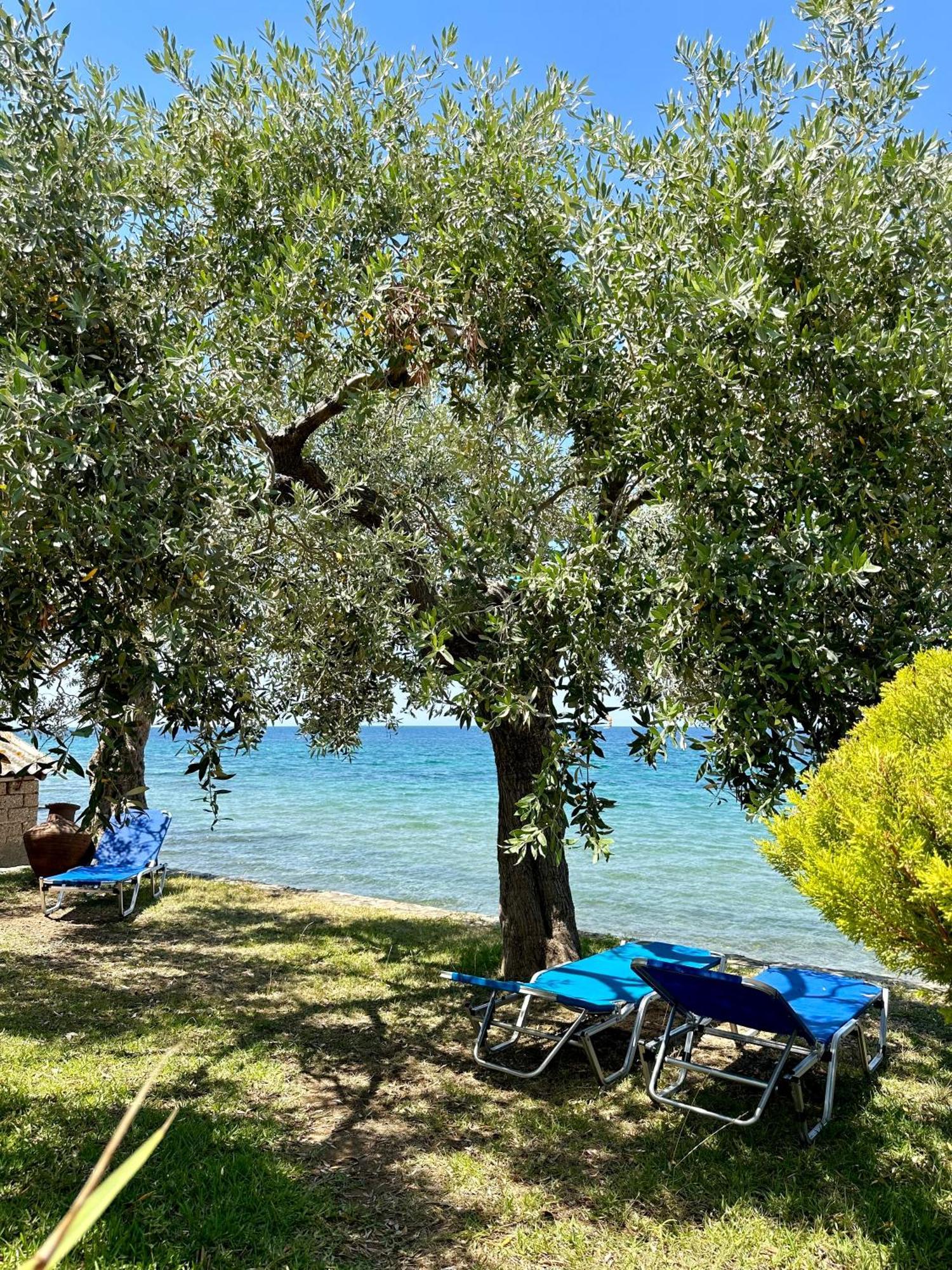 Manolis Studios Thassos Skála Kallirákhis Buitenkant foto